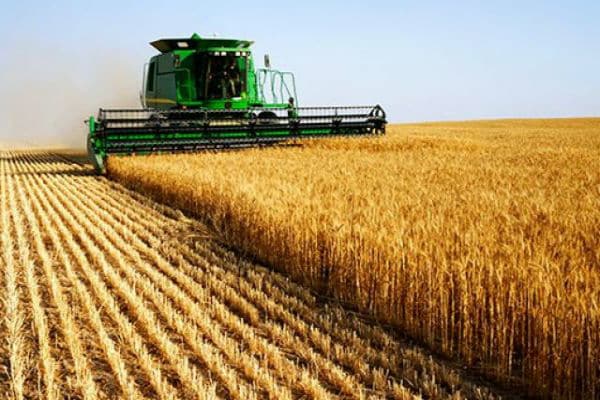 Agricultura