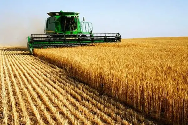 Agricultura