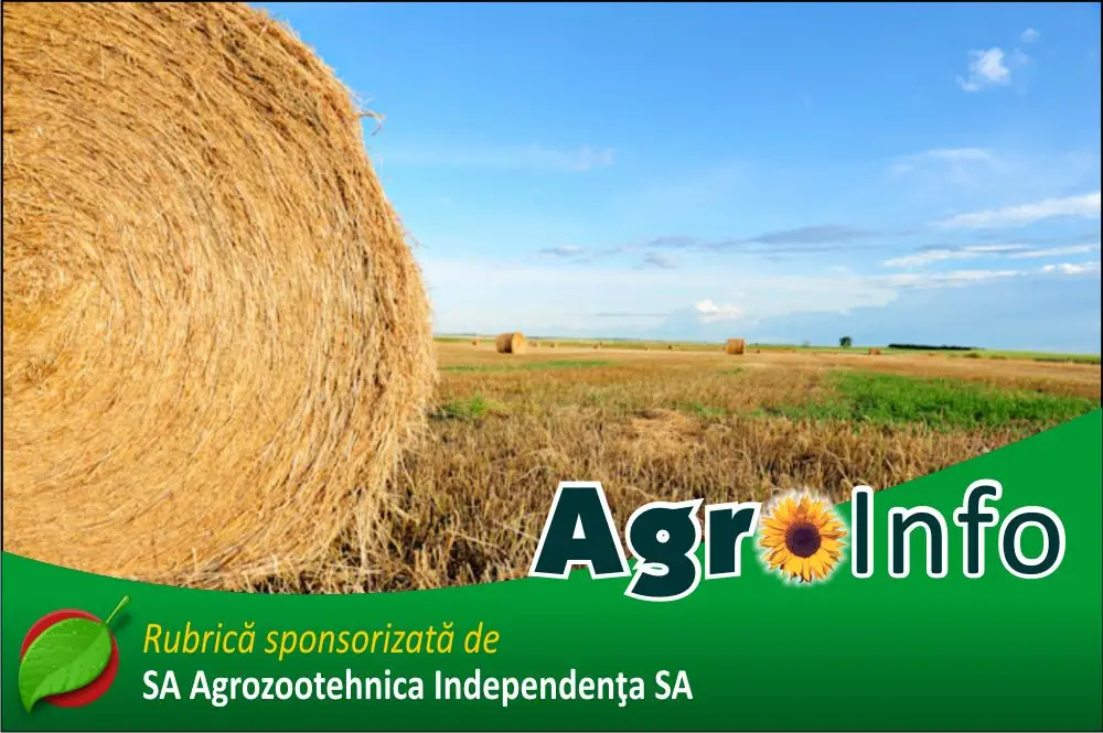 agroinfo