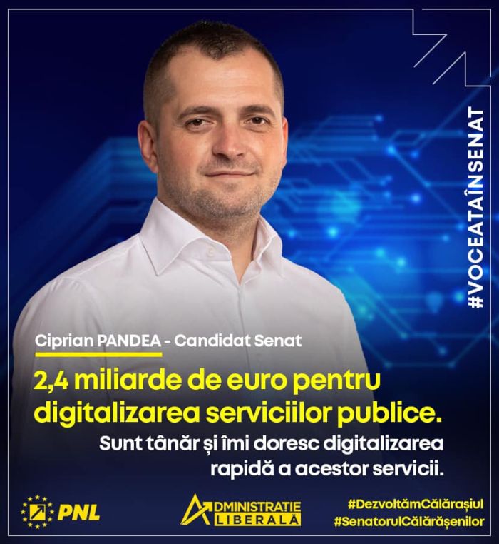 pandeadigitalizare