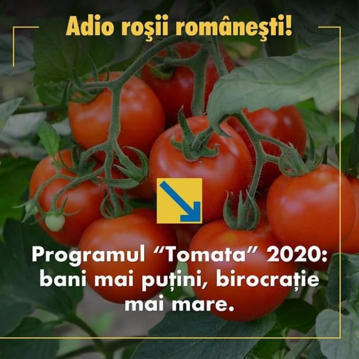 ADIOROSIIROMANESTI