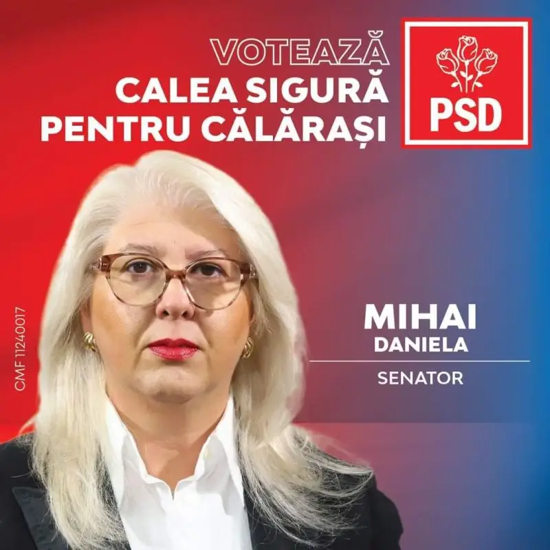 machetasiinterviuDanaMihai
