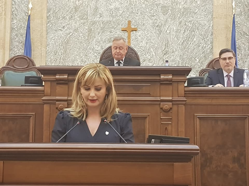 R. Paturca Senat Declaratie Politica Aprilie