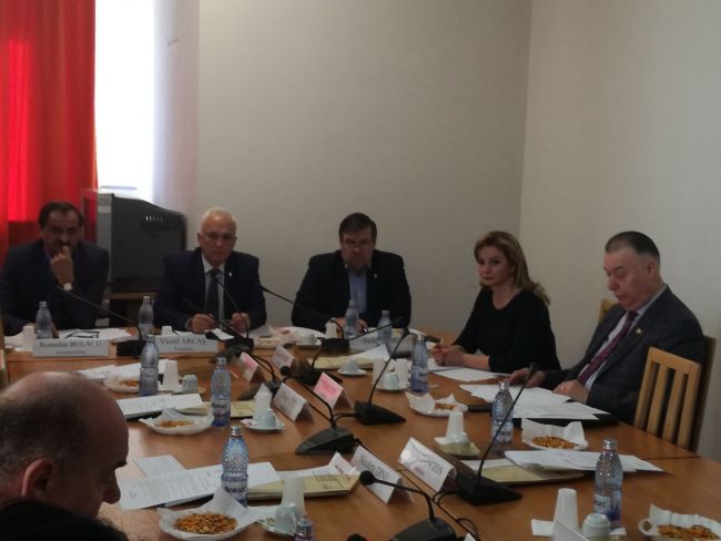 Roxabna Senat 4 aprilie Comisie