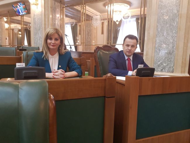 Roxana Senat 28 martie 2018
