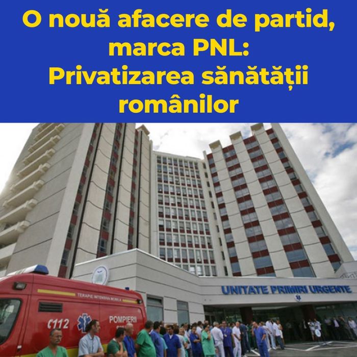 PSDPRIVATIZAREASANATATII