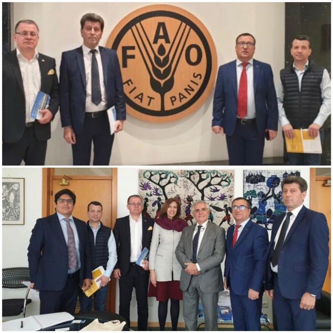 sorinvrajitorufao