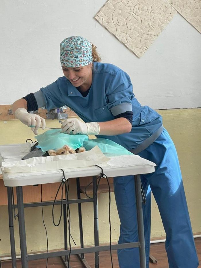 CAINISTERILIZARE