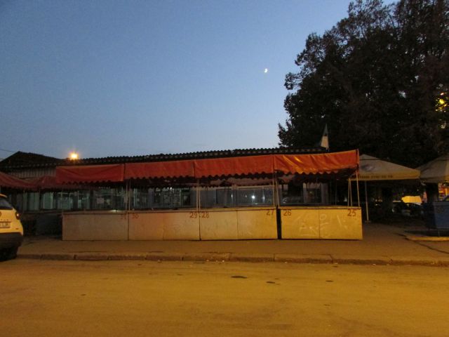 P. agro 3