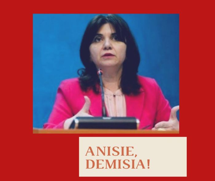 anisiedemisia