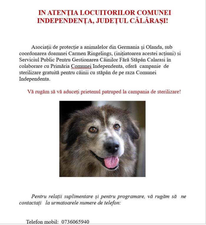 ccampanie