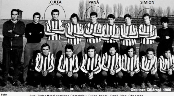Copy of celulozacalarasi2