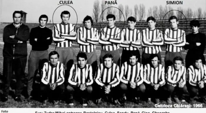 Copy of celulozacalarasi2