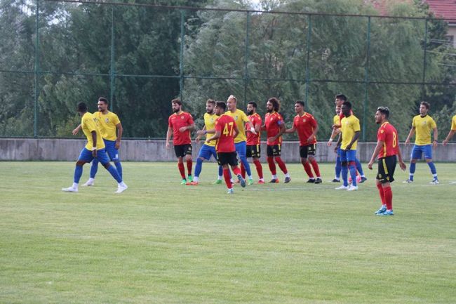 Dunarea Malatya spor