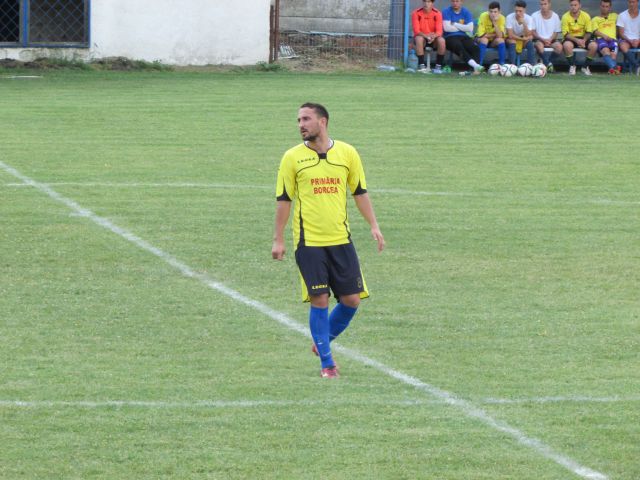 borcea mn 4