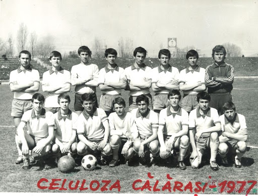 celulozacalarasi
