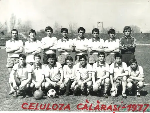 celulozacalarasi