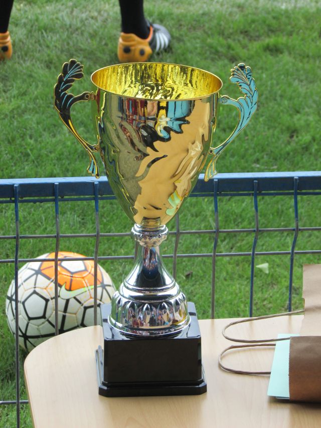 cupa 11