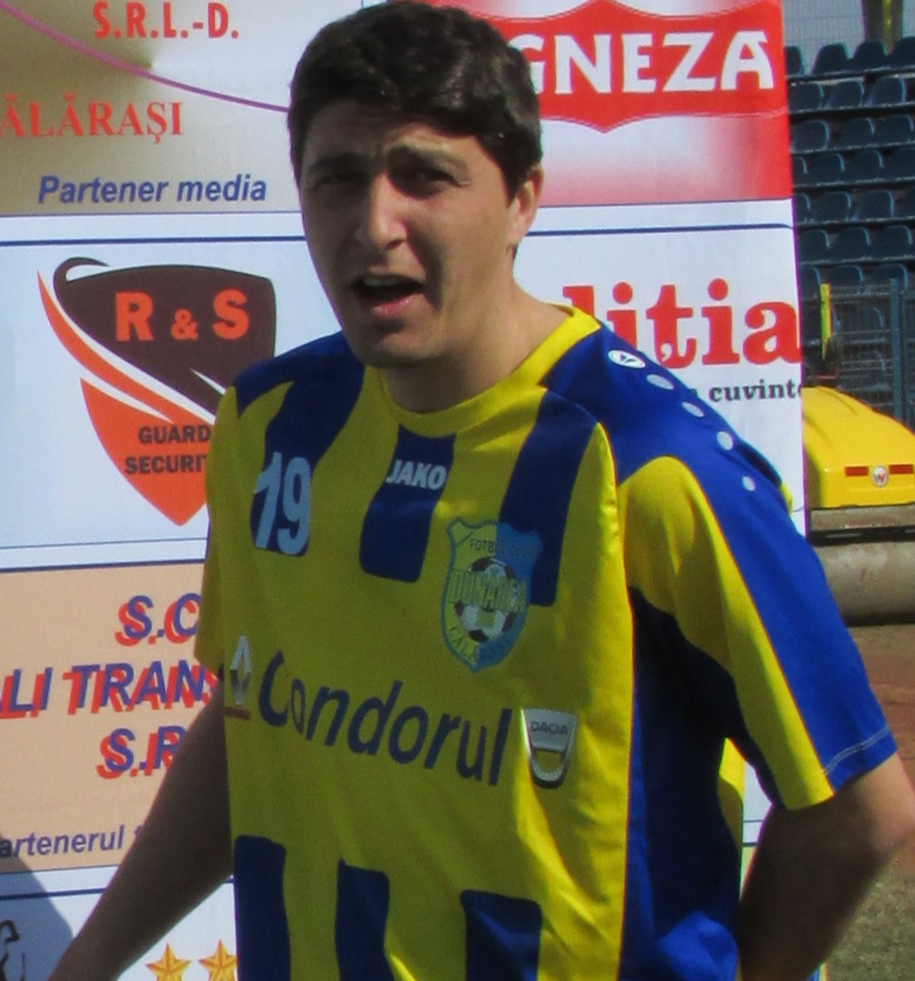 mircea stefan