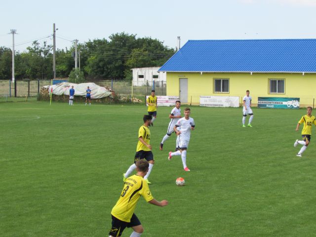modelu 29 1