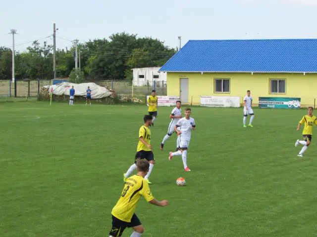 modelu 29 1