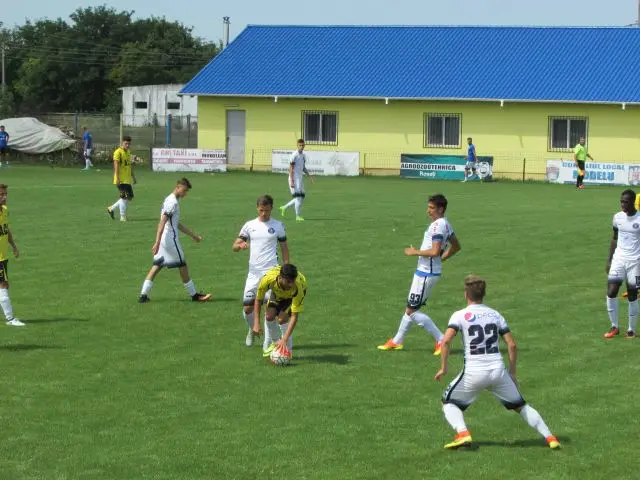 modelu 29 3