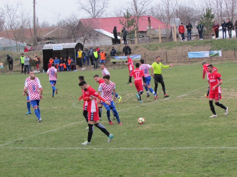 gradistea 12