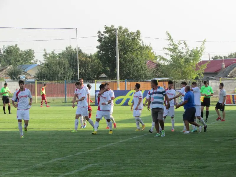 modelu din 8