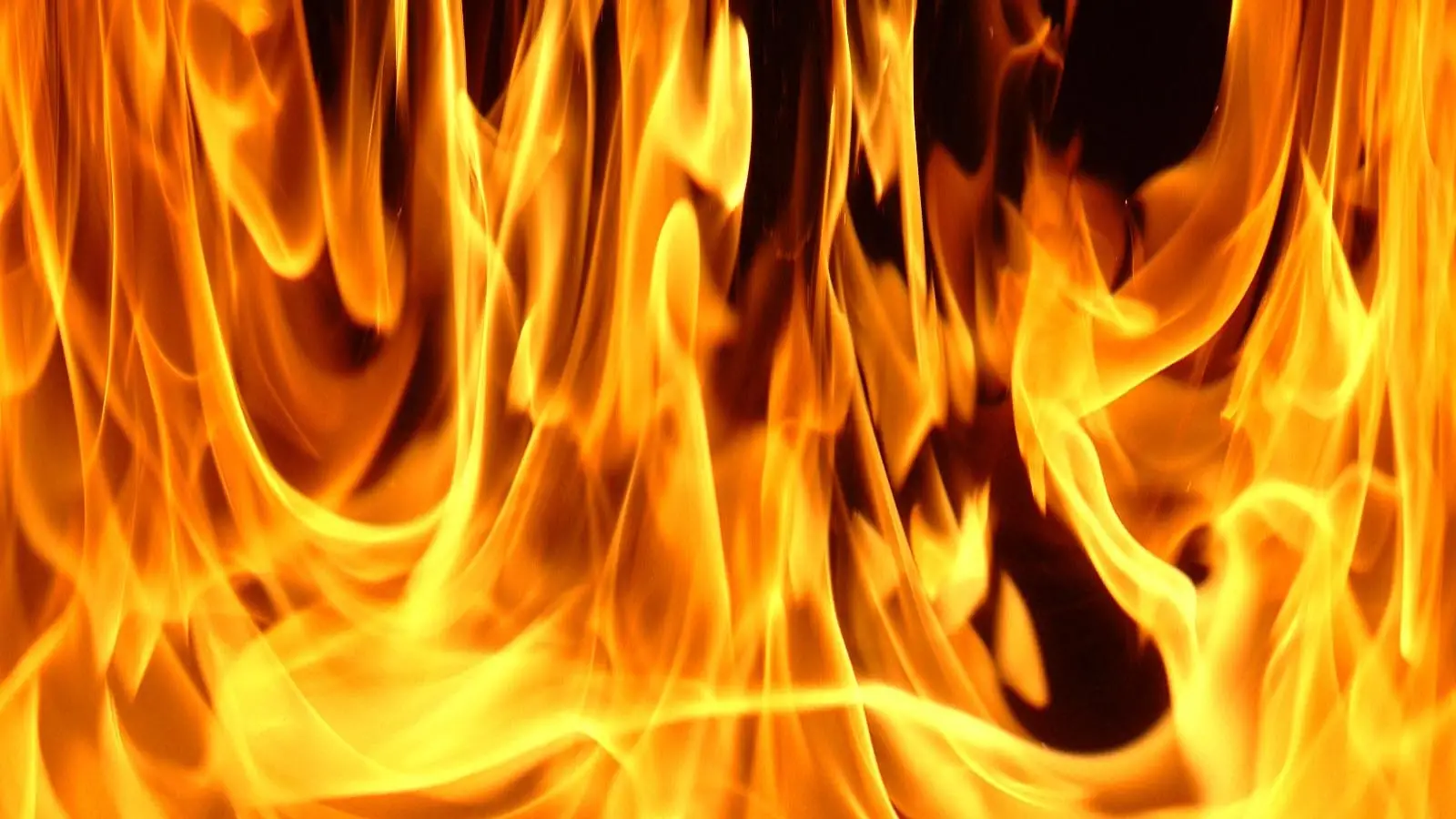 foc